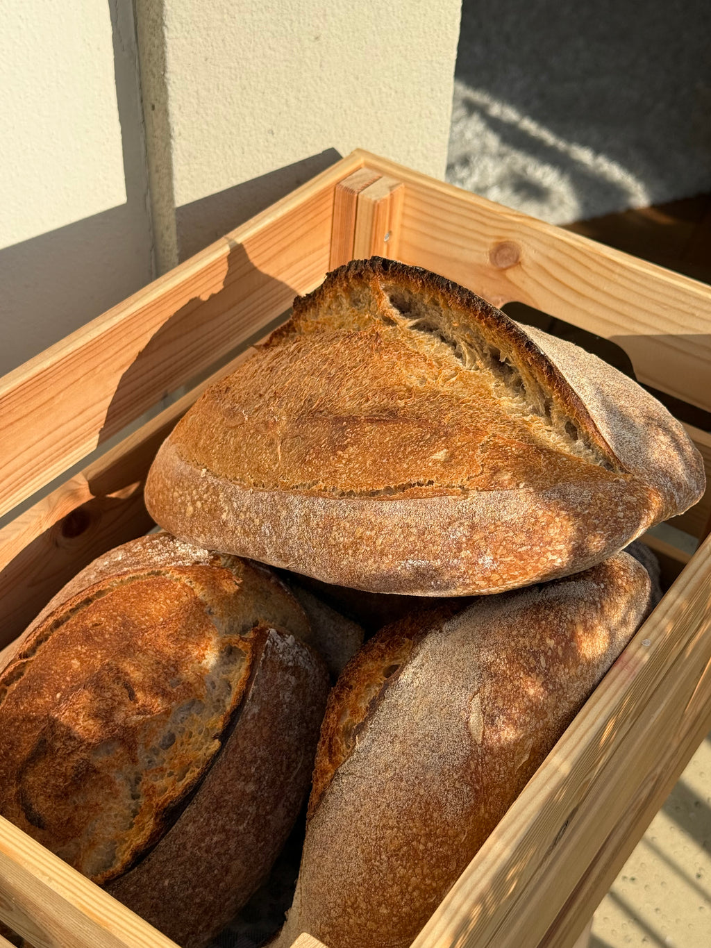 Sauerteig Workshop